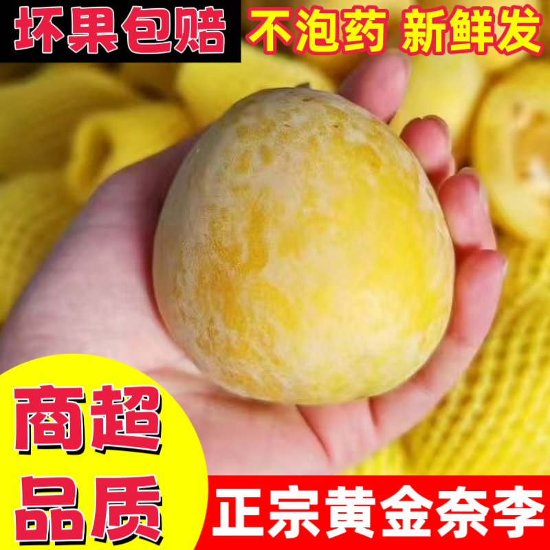 汝城文明黄金奈李新鲜脱骨李脆纯甜水果新鲜应季湖南恐龙蛋李子