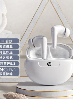 HP惠普蓝牙耳机ANC+ENC主动双重降噪新款入耳式通话真无线耳机HD1