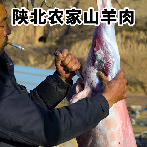 顺丰包邮陕北山羊肉现宰新鲜羊肉
