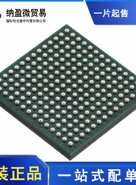 ADS54T02I ADS54T02IZAYR NFBGA-196 模数转换器 全新原装