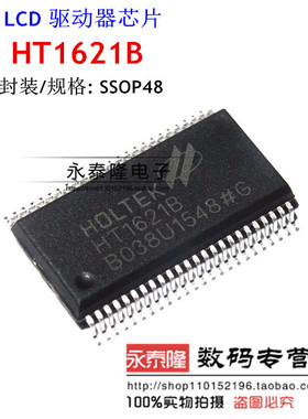 全新 HT1621B RAM映射 LCD驱动器 液晶芯片 贴片SSOP48
