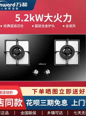 Vanward/万和 JZT-B9L10Z(S) 燃气灶家用煤气灶猛火聚能灶5.2火力