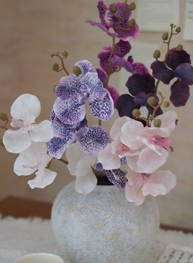 cosa手感保湿3头万代兰胡姬兰高级感逼真仿真花餐桌花人造仿生花