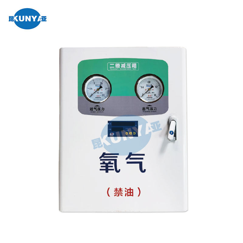 医用中心供氧 氧气二级稳压箱 单双路大流量减压器 报警箱 减压箱