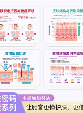 亚克力皮肤结构与代谢知识展示肌肤密码探索系列医美集合沟通