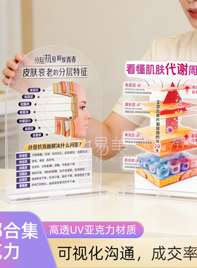 美容医疗亚克力摆件皮肤科专业工具肌肤代谢周期水光肌立式科普摆
