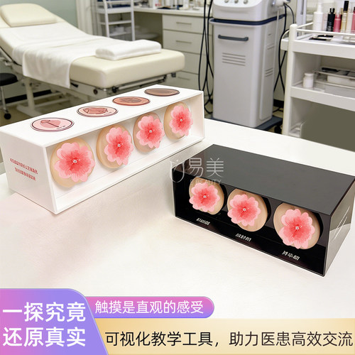 一探究竟妇产科培训专用私密模型通道科普道具教学讲解演示模型