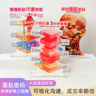 分层抗衰展示亚克力摆件美容院面诊工具分龄抗衰面肌密码护肤引流