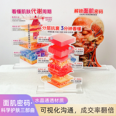 亚克力分层抗衰面诊引流摆件