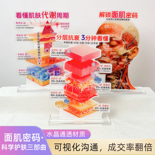 亚克力分层抗衰面诊引流摆件