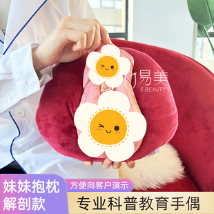 美容院妹妹抱枕解剖款手偶产康门店科普知识妇科医患沟通女性健康