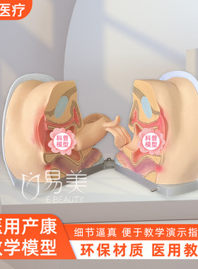 软硅胶妇科教学模型避孕检查