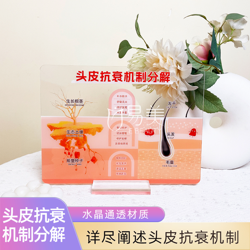 头发抗衰机制分解亚克力摆台