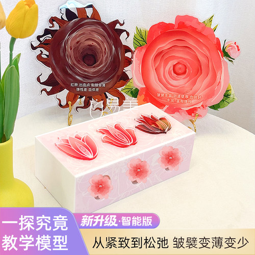 私密触感模型美容院摆件一探究竟