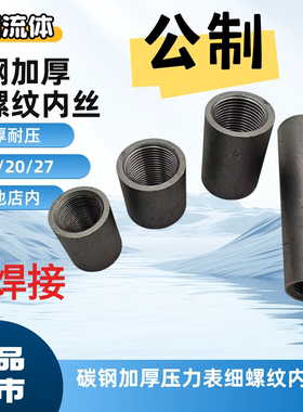 碳钢焊接内丝内螺纹压力表20*1.5