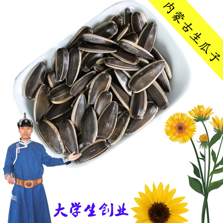 2018年新瓜子363包邮/河套五原363葵花籽生瓜子内蒙古手选生瓜子
