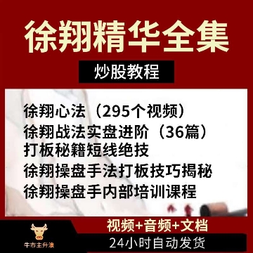 炒股票徐翔战法悟道心法短线涨停打板首板游资私募操盘柚子培训课