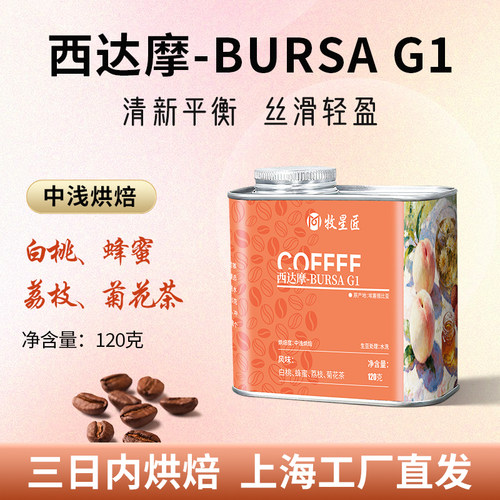 埃塞俄比亚西达摩BURSA G1日晒咖啡豆手冲香浓意式香浓精品咖啡豆