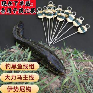 钓大鱼全套线组鳗鱼钩水库垂钓黑鱼昂刺鱼钩地插放钓伊势尼单钩线