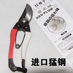 进口精钢园林工具花剪刀修剪树枝果树剪子粗枝剪果修枝剪园艺剪刀