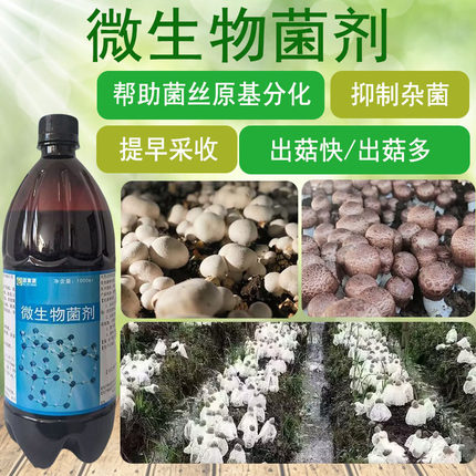 微生物菌剂菌丝提早分化抑制杂菌出菇快出菇多菌肥
