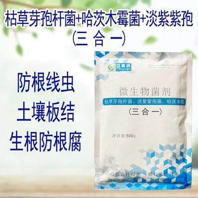 哈茨木霉枯草芽孢杆菌微生物菌剂菌杆菌农用淡紫紫孢菌根线虫枯叶