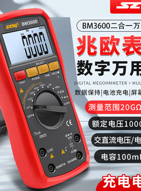 滨江数字绝缘电阻测试仪BM3600万用表大电容二极管充电电池电工