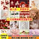 出租满月主题儿童摄影服装 影楼主题百天拍照相道具衣服婴儿新生儿