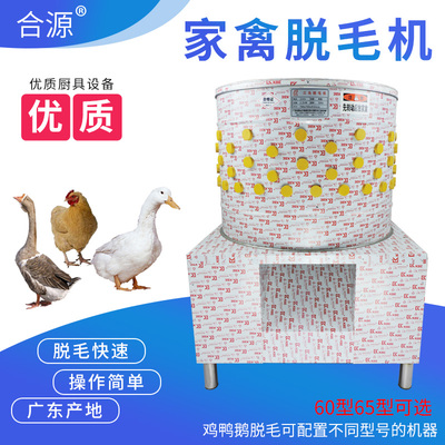 电动家禽小鸡苗乳鸽鹌鹑脱毛机