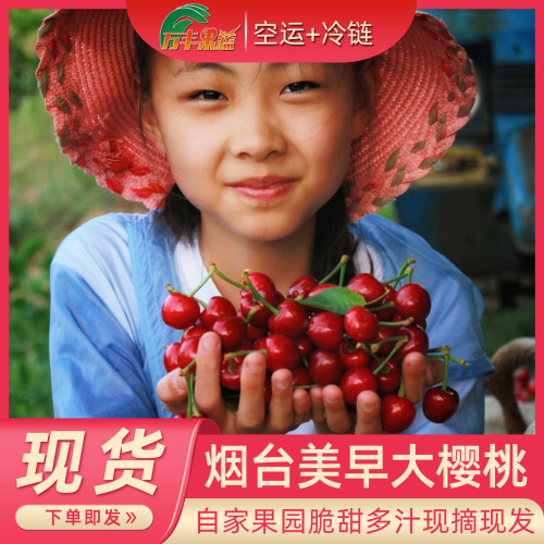 正宗烟台美早大樱桃车厘子脆甜