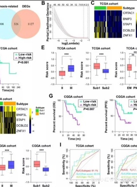 数据分析python统计学stata生信xrd法律spss指导eviews实证R语言