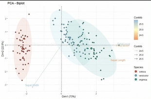 个人】r语言画图pca主成分析lasso聚类生信cox统计大学生回归方差