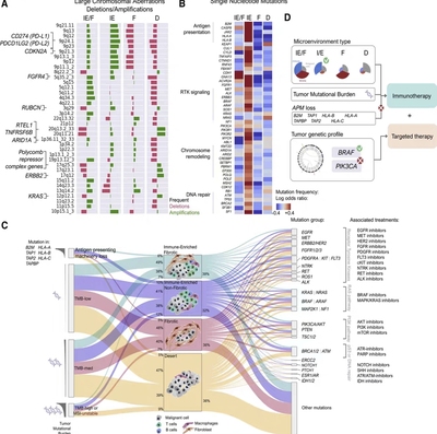 个人】r语言绘图医学统计微生物生存SPSS生信分析作图临床画图