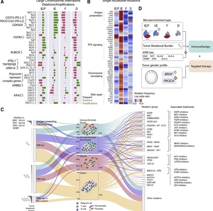 个人】留学生r语言医学统计回归分析spss森林图cox单细胞作SAS