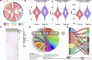 数据分析医学统计spss代码stata实证R语言调整eviews做处理问卷