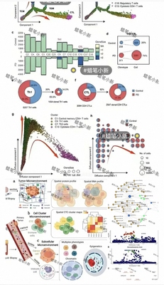 个人】sas代码rstudio统计数据分析生存分析stata分析亚组分析psm