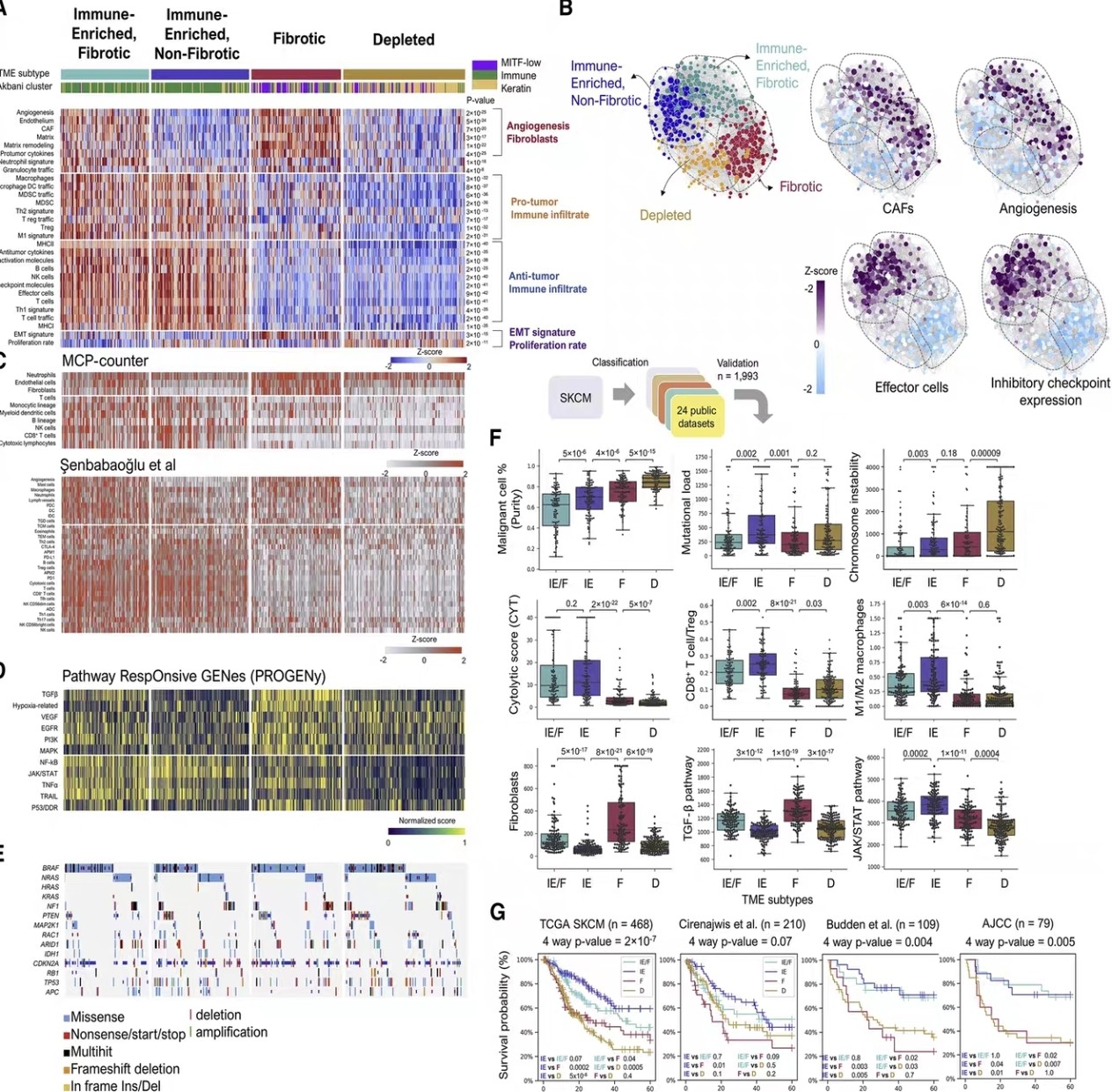 个人】留学生r语言spss森林图cox单细胞作SAS统计stata回归分析