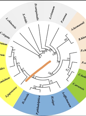 个人】python数据r语言画图做分析spss问卷eviews实证985统计硕士