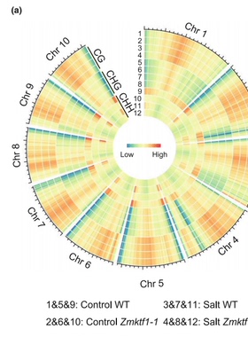 个人】r语言医学sci一二区森林图cox生物meta热图geo生信画图
