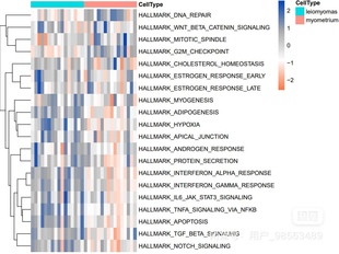 数据分析帮做spss问卷代分析stata实证R医学nvivo统计服务Python