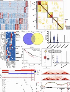 origin绘图R语言绘图Matlab程序做Python深度学习xps分峰拟拉曼