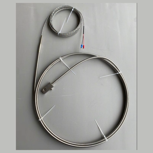 WRNK-196补偿导线式热电偶0-1100℃带R29集热块304/316铠装热电偶