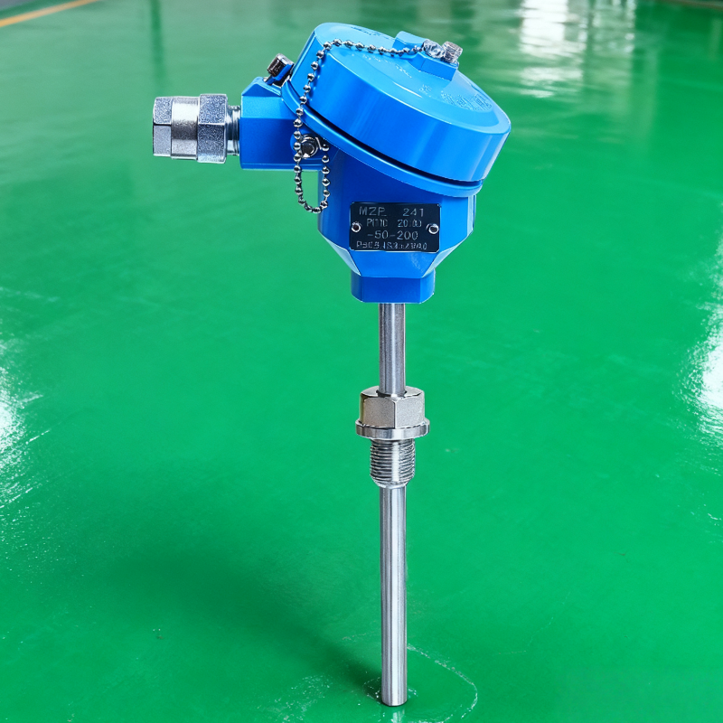 上海仪表 WZP-240防爆热电阻PT100 材质SUS304 量程-50~350℃