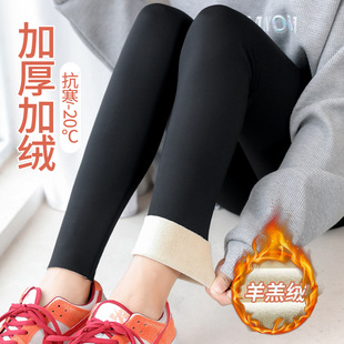 加绒加厚鲨鱼裤女外穿秋冬新款哑光无痕瑜伽春秋羊羔绒打底芭比