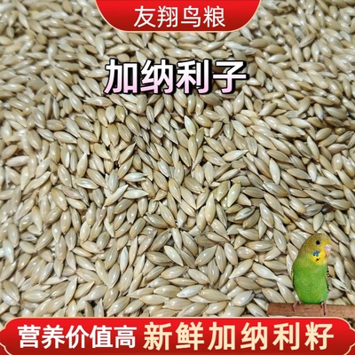 友翔加纳利子鹦鹉营养鸟粮
