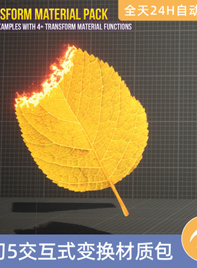 UE5虚幻5素材模型智能资产交互式可定制变换材质包转换改变过渡
