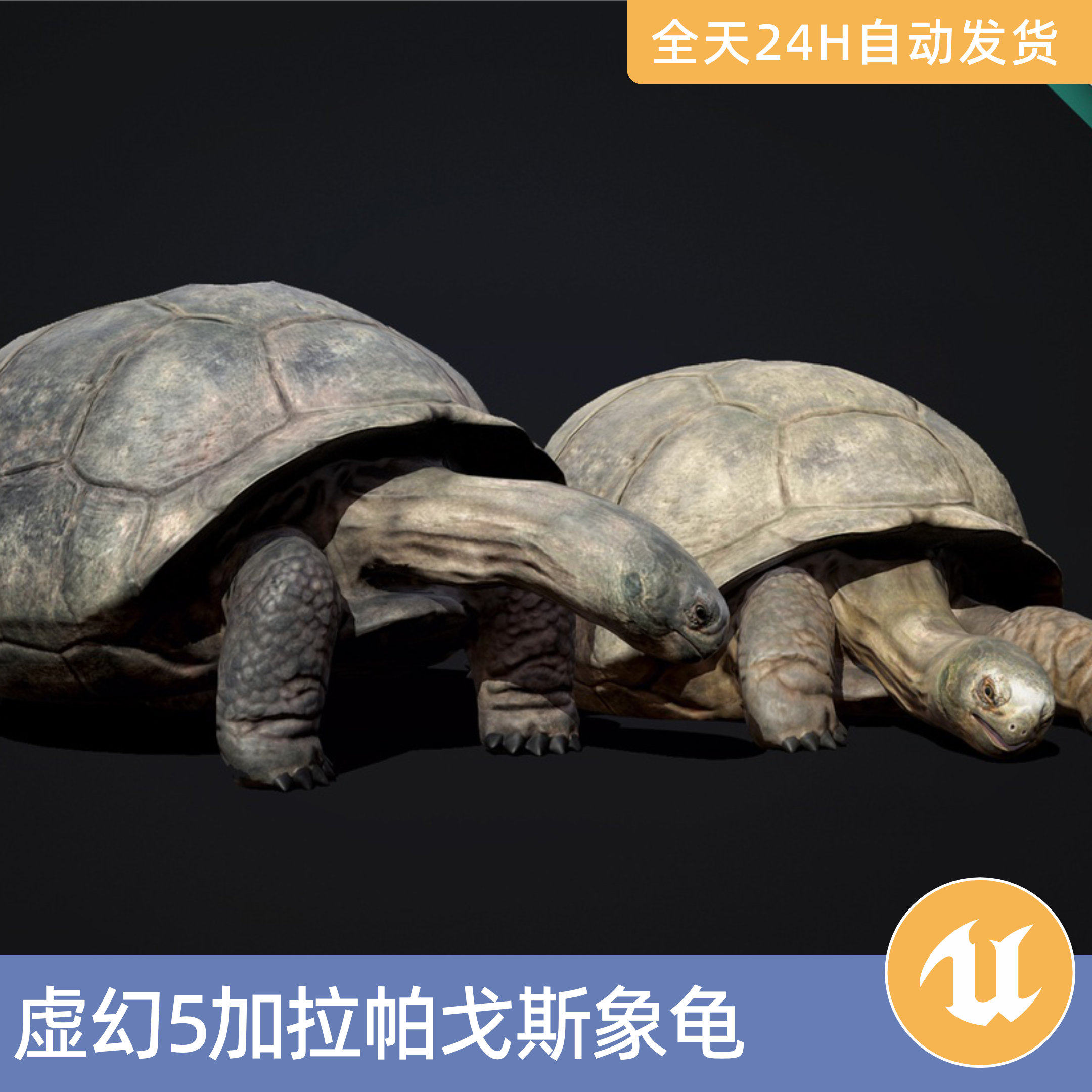 UE虚幻5素材模型资产加拉帕戈斯象龟乌龟王八野生动物带动画