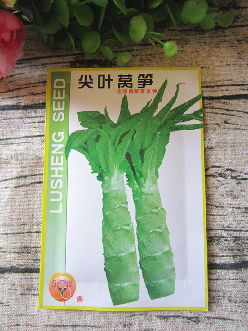 云南蔬菜种子包邮绿生尖叶香莴笋蔬菜种子/种苗