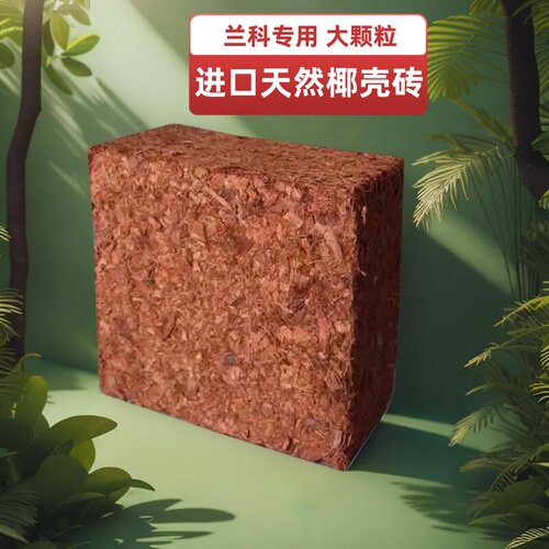 印度进口粗椰壳兰花颗粒土脱盐