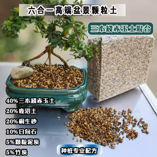 盆景生桩老桩赤玉土鹿沼土桐生砂杂木盆景土种植土松柏土颗粒土